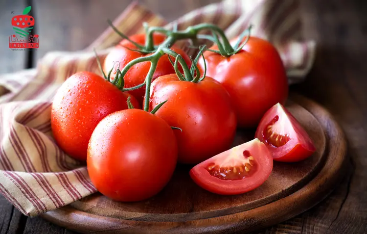 روش های کاشت نشا گوجه فرنگی