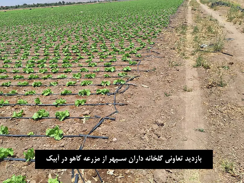 picture-sepehr-bazdid-m01