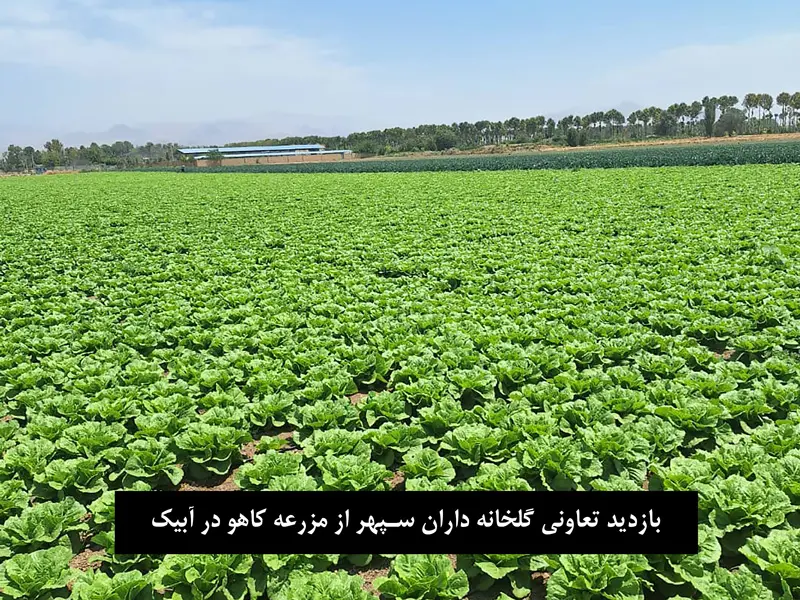 picture-sepehr-bazdid-m03