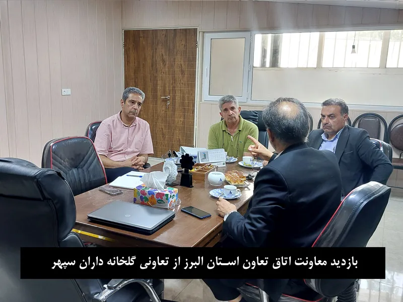 تصویر بازدید معاونت اتاق تعاون استان البرز - تصویر2