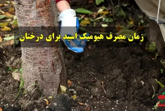 زمان مصرف هیومیک اسید برای درختان