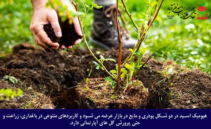 مصرف هیومیک اسید برای درختان
