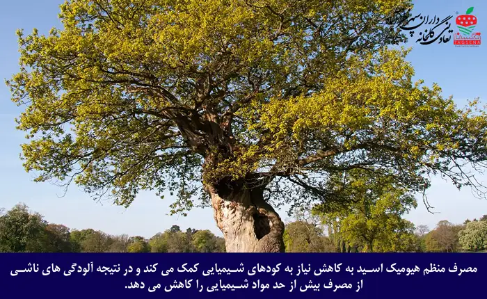 میزان مصرف هیومیک اسید برای درختان