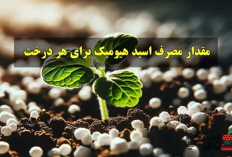 مقدار مصرف اسید هیومیک برای هر درخت