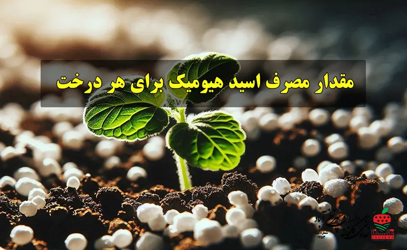 مقدار مصرف اسید هیومیک برای هر درخت