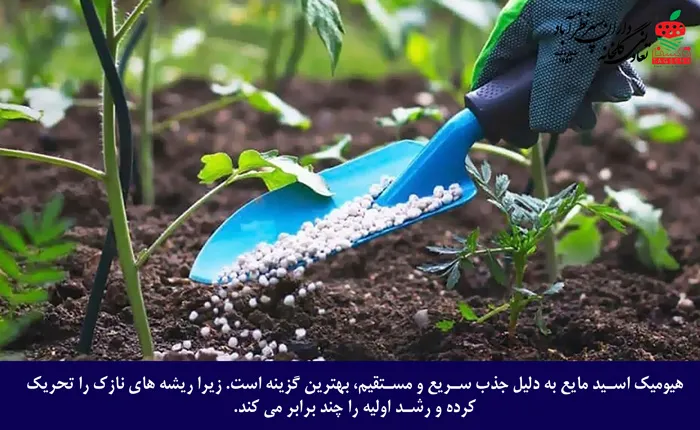 میزان مصرف اسید هیومیک برای درختان