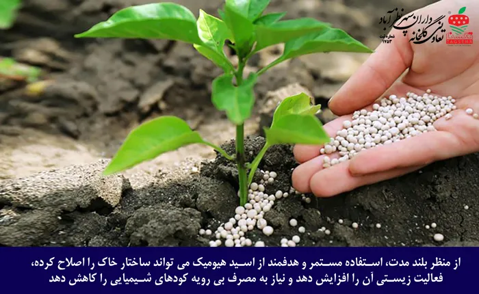 مقدار مصرف هیومیک اسید برای هر درخت