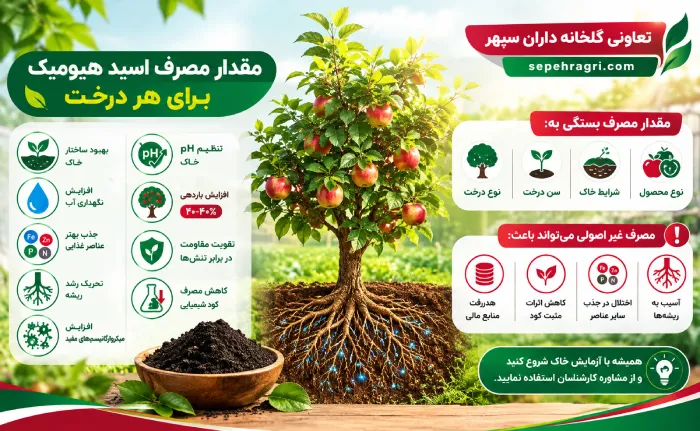 اینفوگرافیک مقدار مصرف اسید هیومیک برای هر درخت