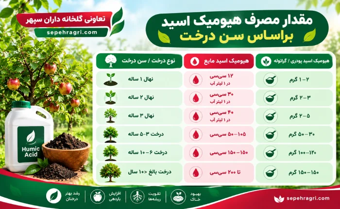 مقدار مصرف هیومیک اسید براساس سن درخت