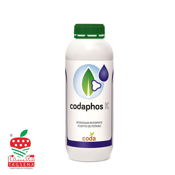 coda-phosk-fertilizer-pic01 کود کدافوس کی Coda phos K حاصل نوین