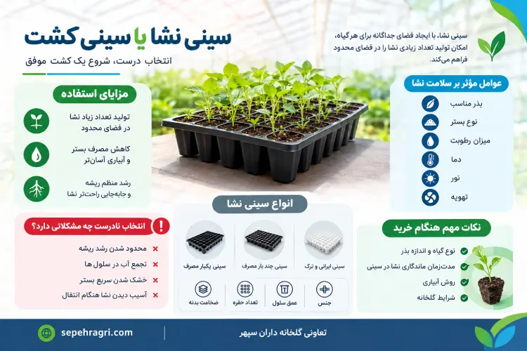 سینی نشا یا سینی کشت