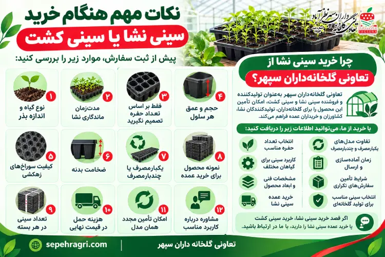 خرید سینی نشا از تعاونی گلخانه داران سپهر