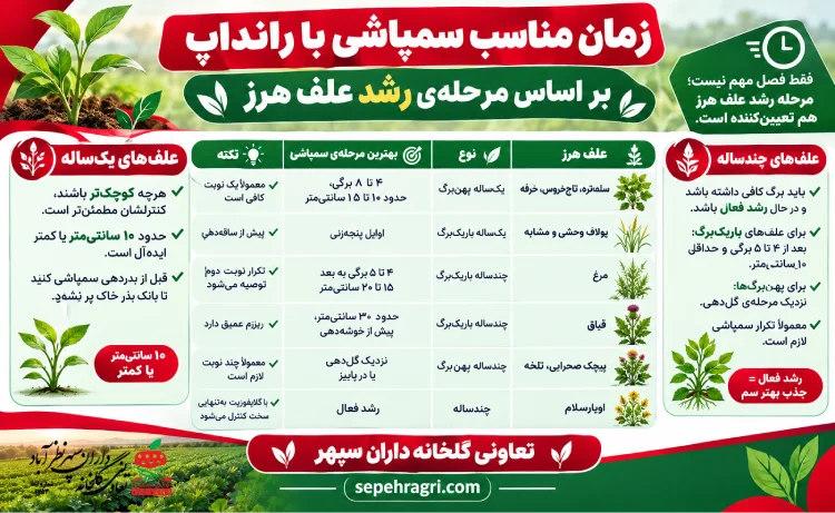 زمان مناسب سمپاشی با رانداپ